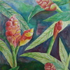 Cimg0365_thumb