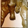 Horses_thumb