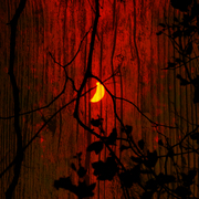 Spookymoon_card
