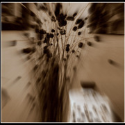 ______3772-2_card