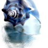 Reflection_thumb