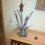 2011-02-04_21-58-05_334_card