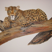 Leopard_in_tree_card
