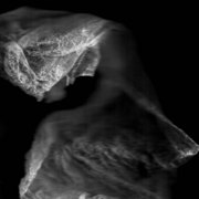 Img1tr1_card