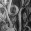 Pensamientos_abstractos_thumb
