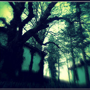 ______3424-1_card
