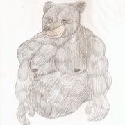 Black_bear_card