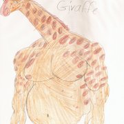 Giraffe_card