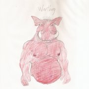 Warthog_card