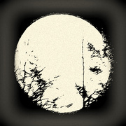 Moon_dsc_6463-1_card