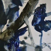 72f02_card