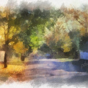 Camberwell_street_card