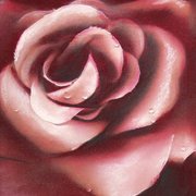 Red_rose_card