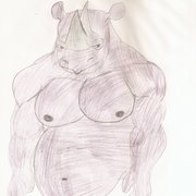 Black_rhino_card