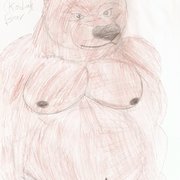 Browne_kodiak_bear_card