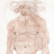 Cape_buffalo_card