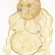 Grizzly_bear_card