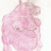 Hippo_card