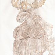 Moose_card