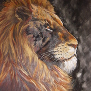 The_lion_king_card