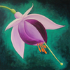 Fucsia_thumb