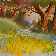 Hpim0662_1_2_card