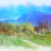 Newww_zealanddd_card
