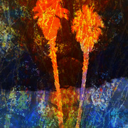 Abstractpalmsmall_card