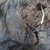 0904111330c_tiny_square