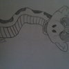 Snake_thumb