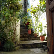 Obraz_1133_berat_card