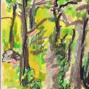Horn_pond_card