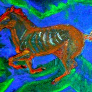 Finished011_card