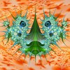 Sea434teyes0000557_thumb