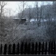______3439-1_card