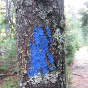 Bluetrail_card