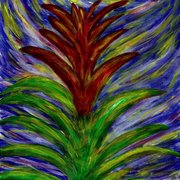 House_plant_in_the_august_sun_card