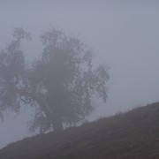 100_4490_card