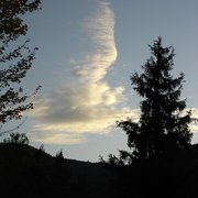 Cloud_-_on_oct