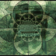 ______3443-2_card