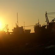 Sh100240b_card