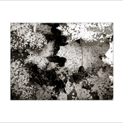 Dscf5645_card