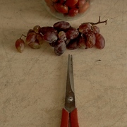 Autumn_still_life_card