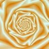 65yellow_thumb