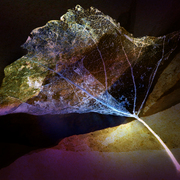 Touchofcolor_card