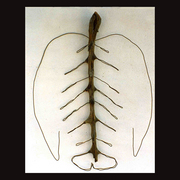 Main055_card