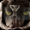 Peinture_4_thumb
