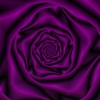 65purple_thumb
