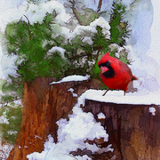 Christmas_guest_card