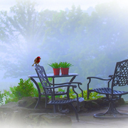 Southern_living_card